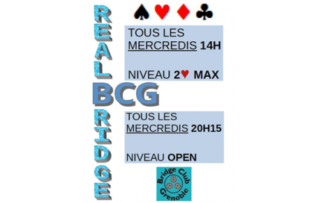 RealBridge /2 - BCG